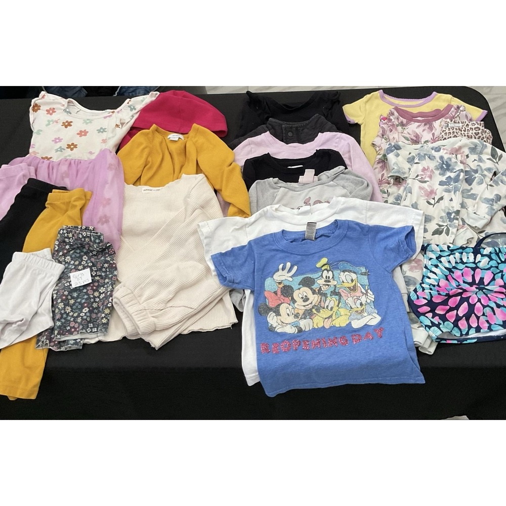 Mixed Brands Outfit Lot Girls 3T 23pc Dresses Tops Pants Hoodies Disney Floral